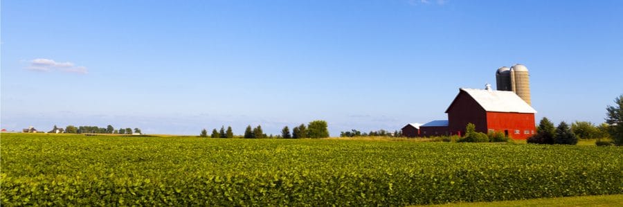 Farm in Iowa state on sunny day
