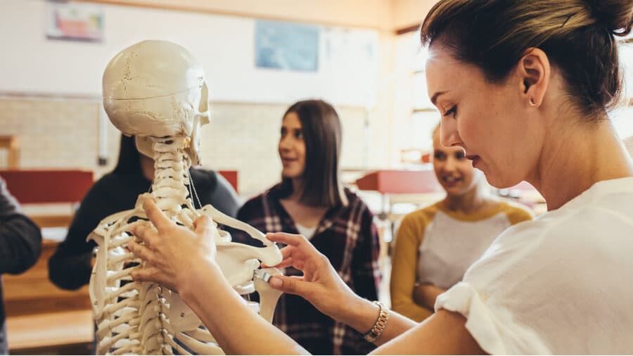 Massage students studying anatomy skeleton for MBLEx