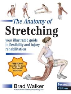 The Anatomy of Stretching: Your Illustrated Guide to Flexibility and Injury Rehabilitation